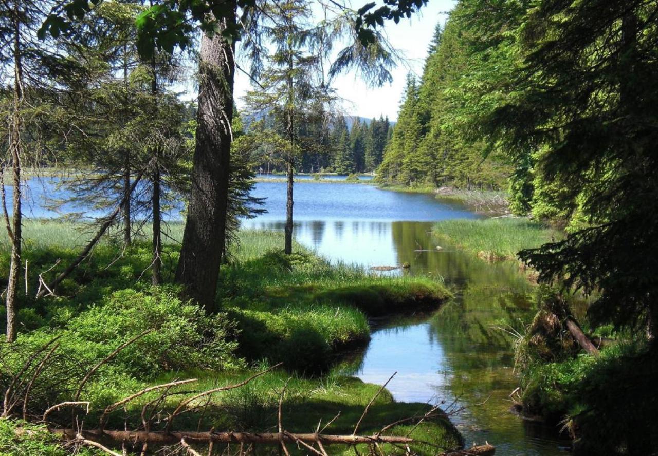 Fewo Keilhofer Spiegelau Esterno foto